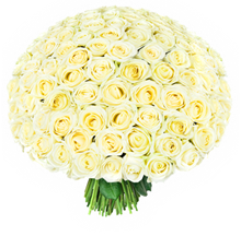 101 роза Эквадор  белая